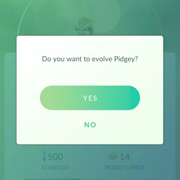 Pokemon Go Evolve Pidgey
