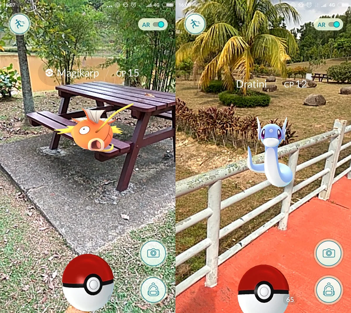 Pokemon Go Magikarp and Dratini