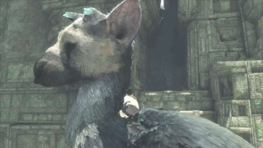the last guardian review 11