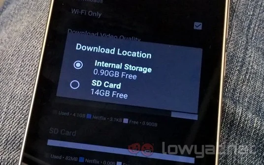 Netflix Download To SD card