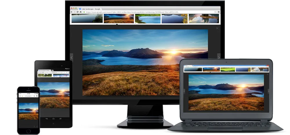 Google Chrome Browser 1
