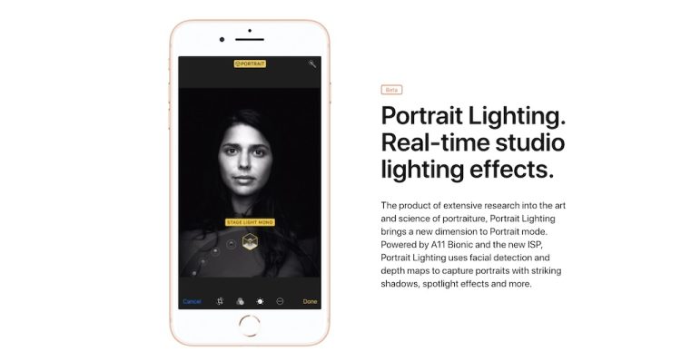 Portrait Lighting