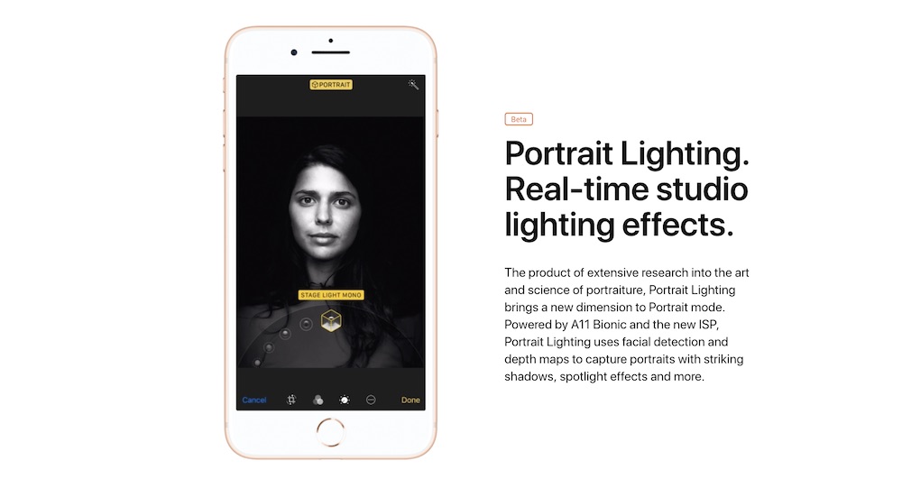 Portrait Lighting