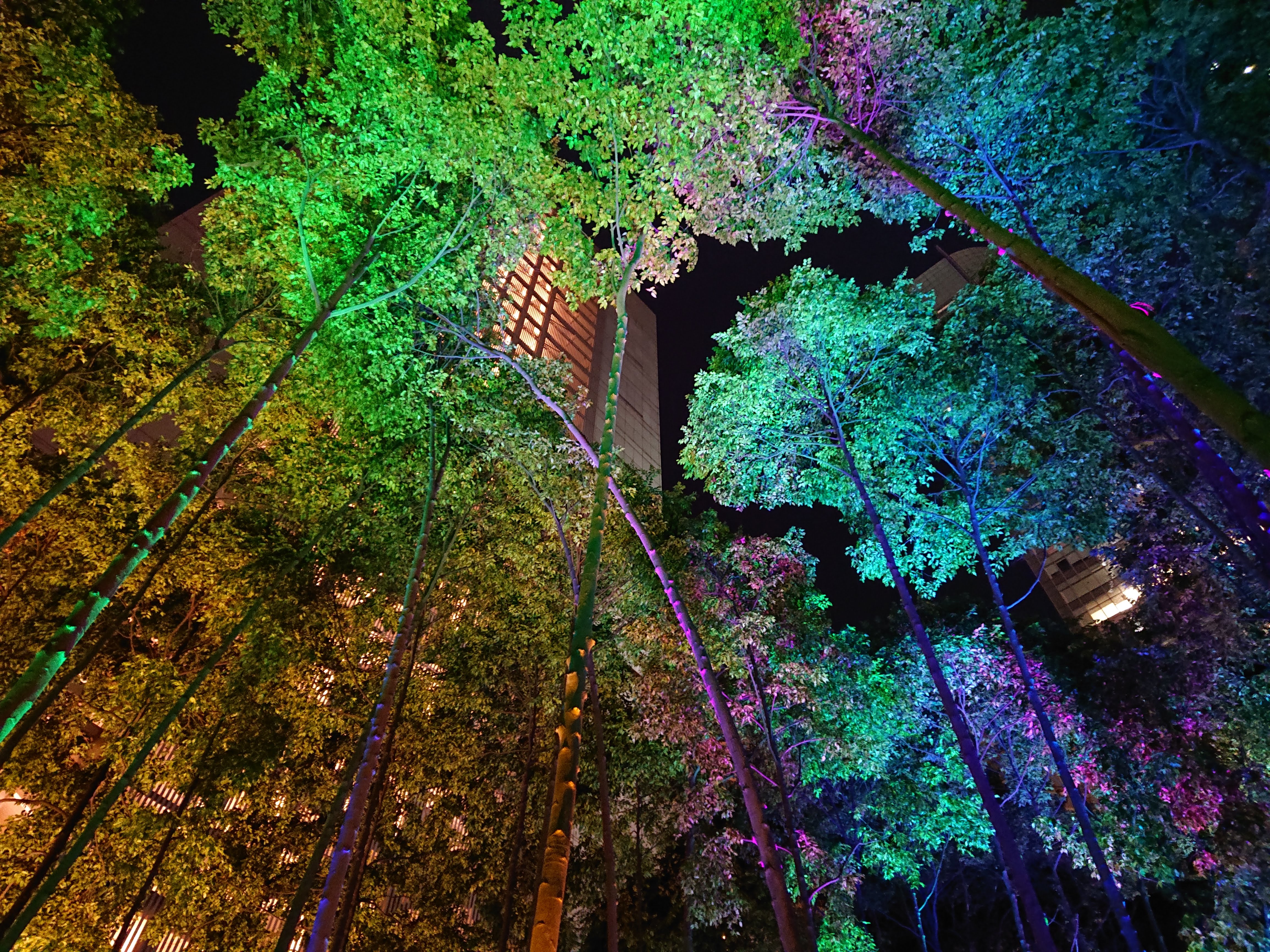 KL night trees multiple colours