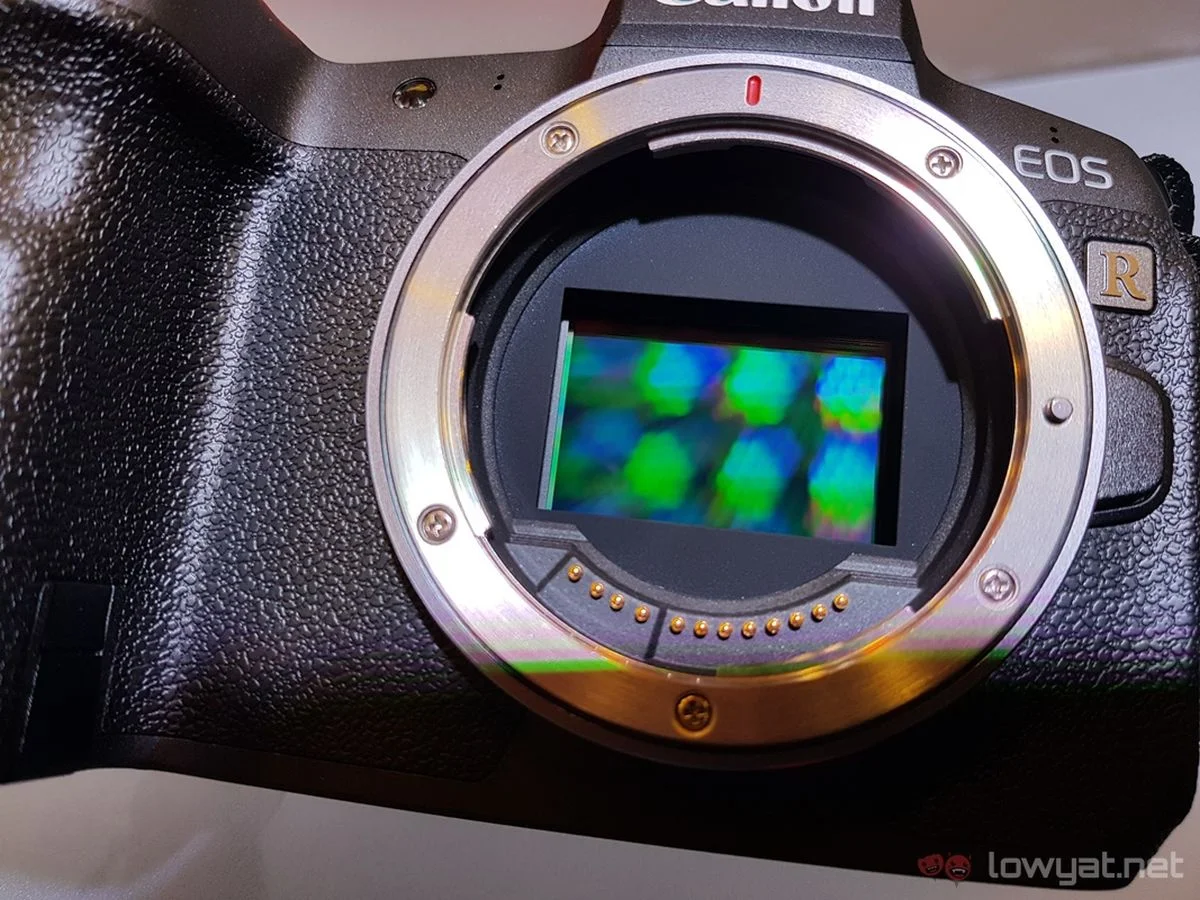 Canon EOS R mirrorless sensor