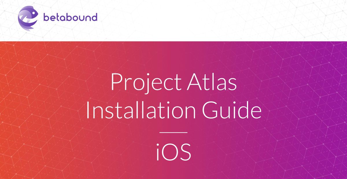 Facebook project atlas