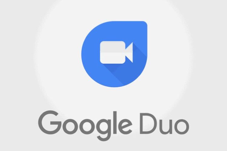 Google Duo Icon