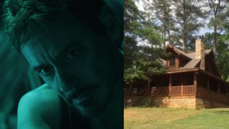 Avengers Endgame Tony Stark Cabin