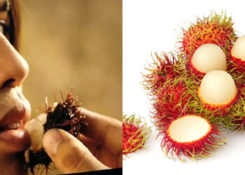 Another Life Rambutan Netflix