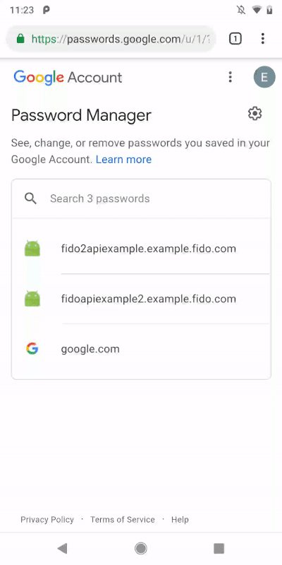 Google password demo