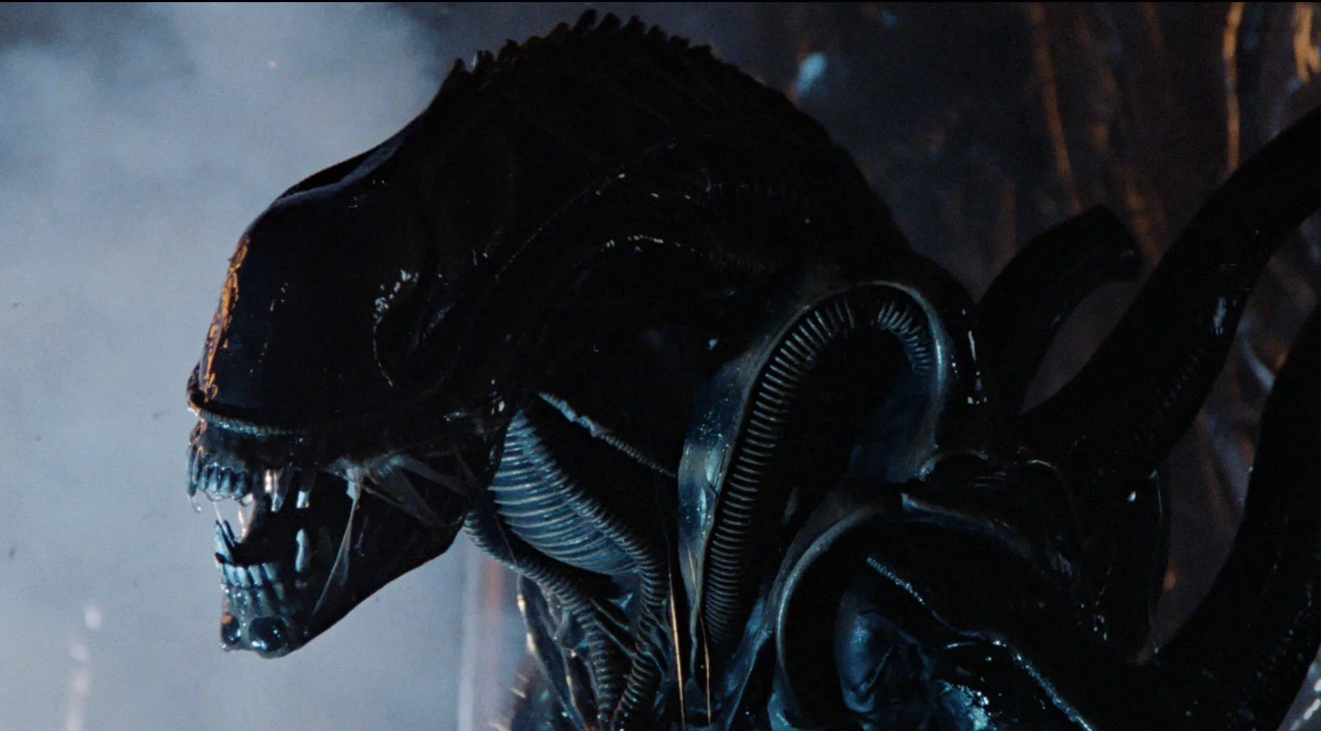 5 Space Films Better Than Ad Astra Alien