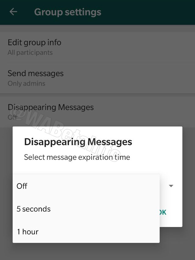 whatsapp disappearing message