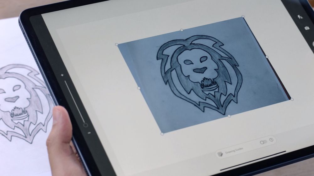 Illustrator for iPad lion