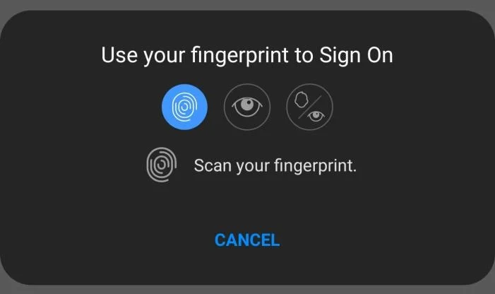 Android 10 biometric API