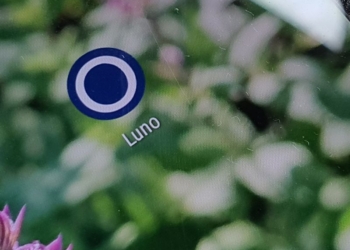 Luno 800