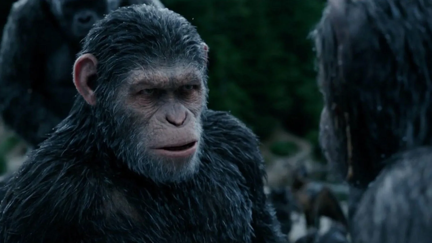 Planet of the Apes Disney