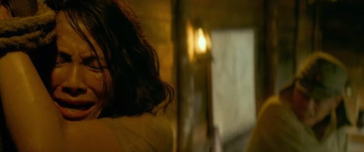 The Garden of Evening Mists