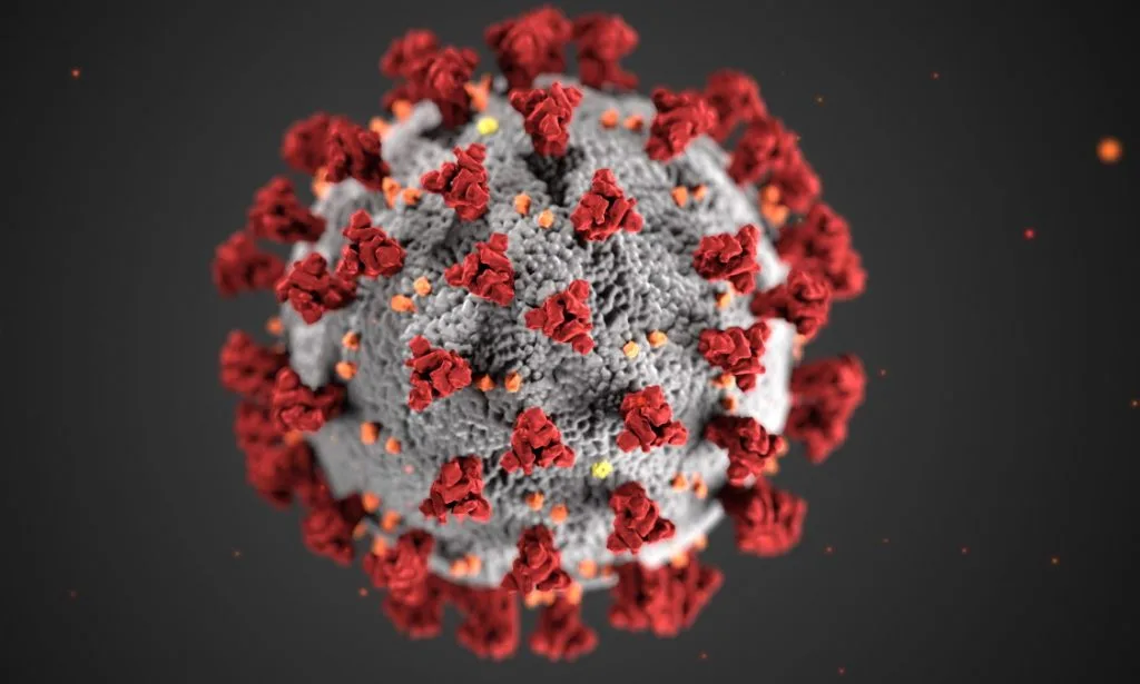COVID-19 virus