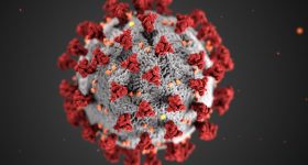 COVID-19 virus
