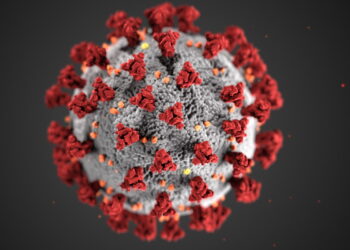 COVID-19 virus