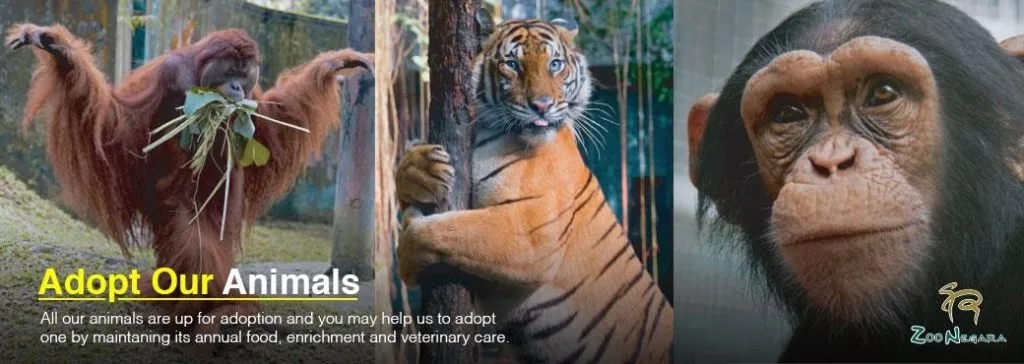 Zoo Negara Ticket2u