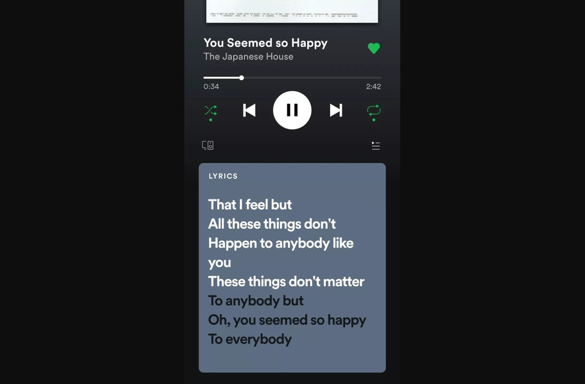 Spotify roll out Real-time lyrics 1