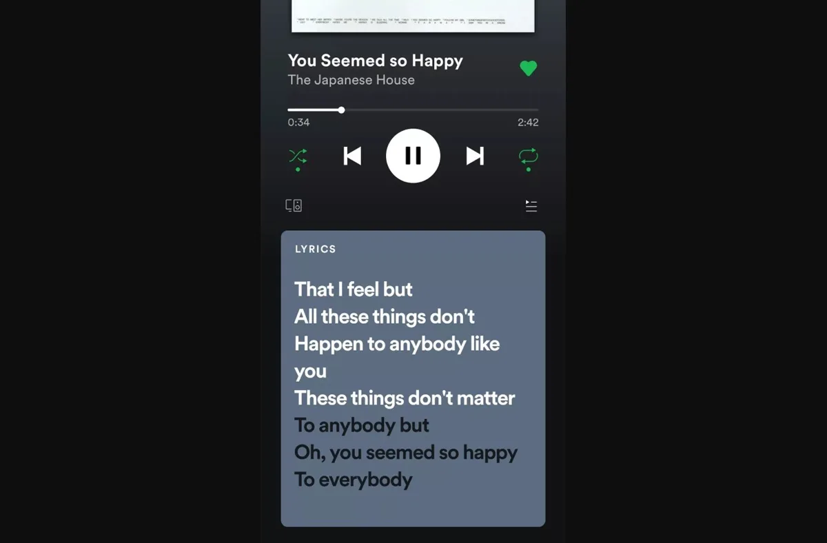 Spotify Lyrics