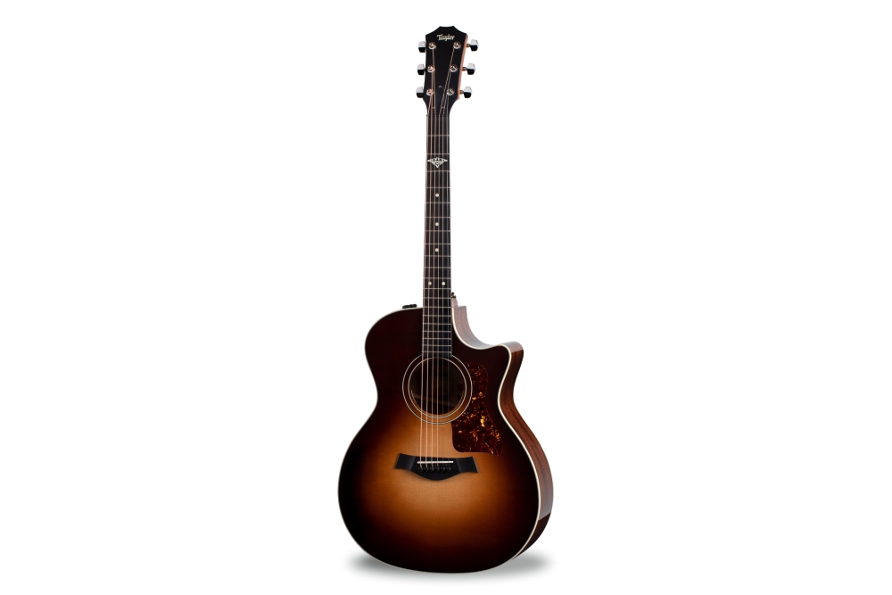 The Last of Us Part II Taylor 314ce guitar