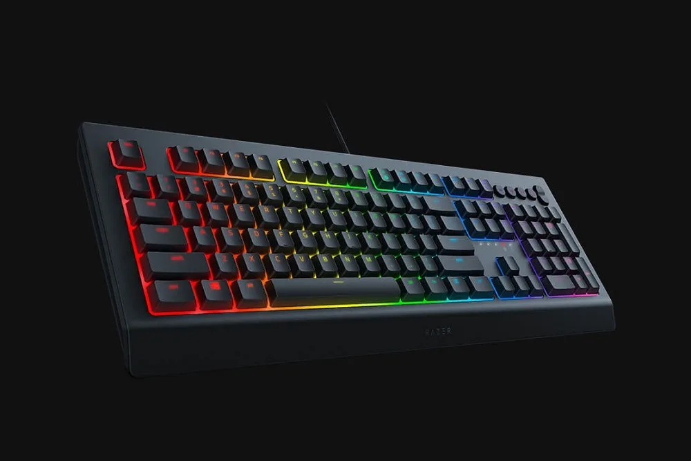 Razer Cynosa V2 another