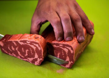 Start-up company 3D Printer plant-based steaks