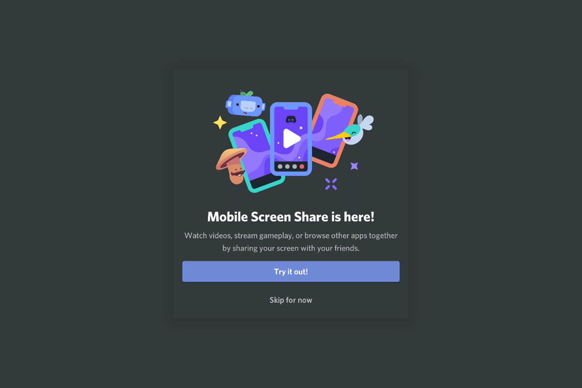 Discord Screen Sharing Function Mobile App