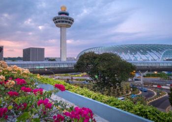 Singapore Airlines COVID-19 Universal Verifier Changi Airport