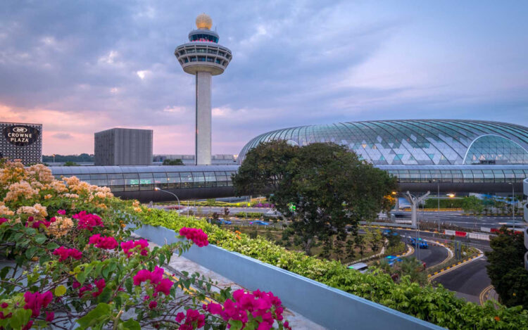 Singapore Airlines COVID-19 Universal Verifier Changi Airport
