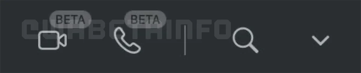 WhatsApp Beta Video Audio Calls Desktop Web