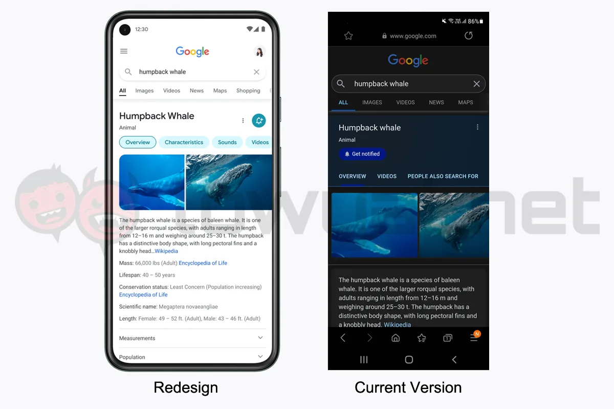 Google Search mobile redesign