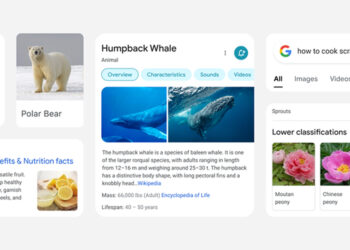Google Search mobile redesign