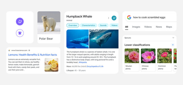 Google Search mobile redesign