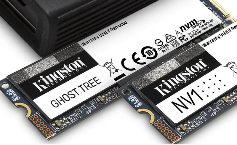 Kingston Ghost Tree SSD 2