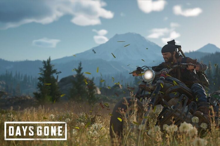 Days Gone