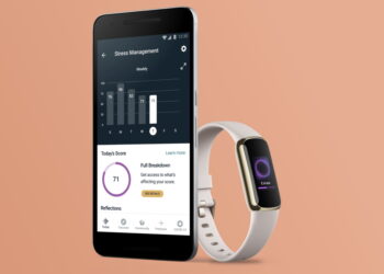Fitbit Luxe 2