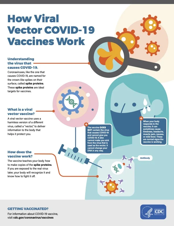COVID 19 viral vector infographic D FINAL 508 030621
