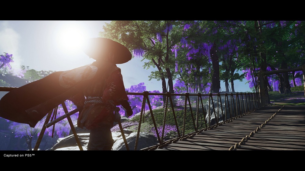 Ghost of Tsushima Director's Cut 1