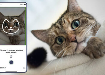 Tably App AI Smartphone Camera Identify Cat's Mood
