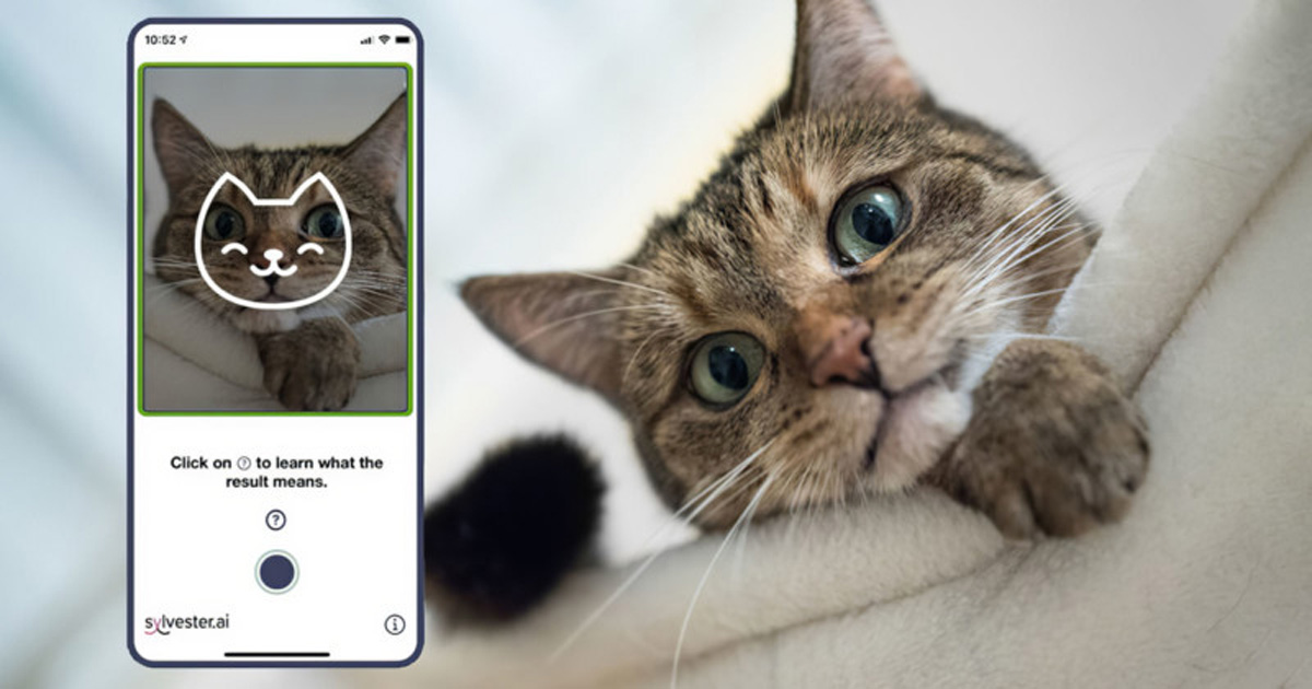 Tably Is An App That Uses AI And A Smartphone Camera To Predict Your Cat’s Mood
