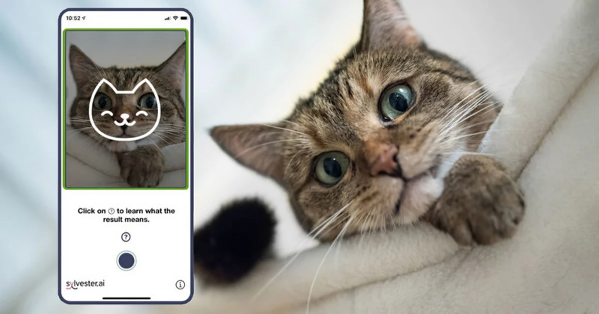 Tably App AI Smartphone Camera Identify Cat's Mood