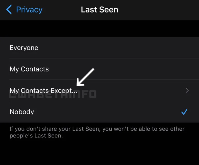 WhatsApp Last Seen My Contacts Except