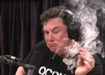 Elon musk tesla spacex ceo