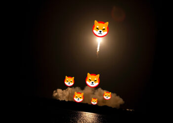 Shiba Inu crypto coin
