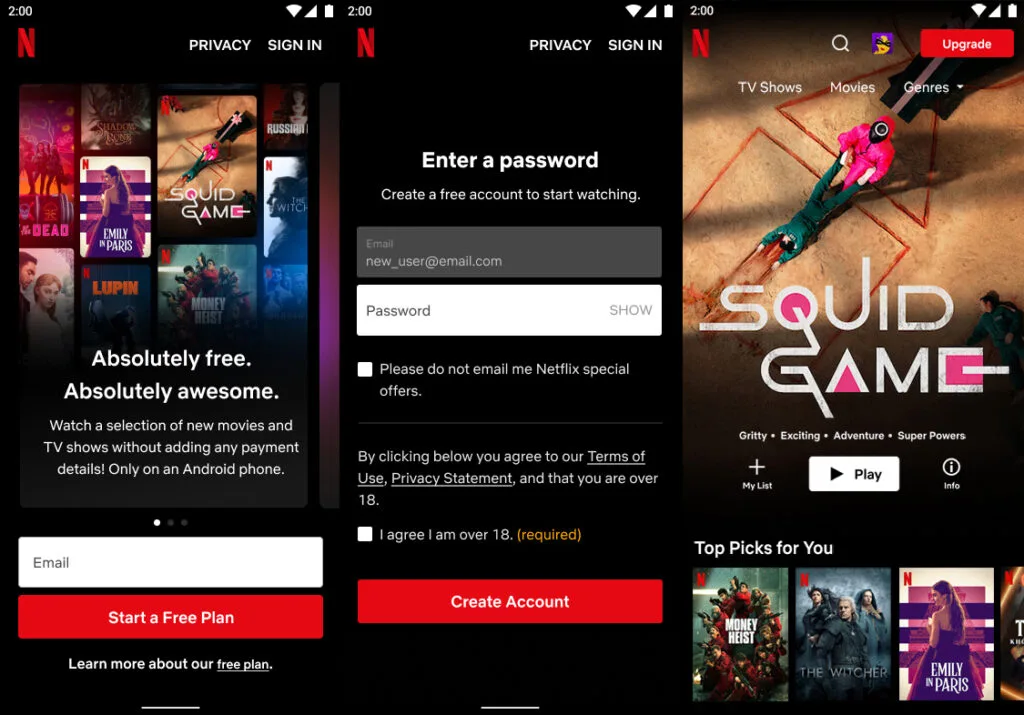 Netflix Free Plan Vietnam signup