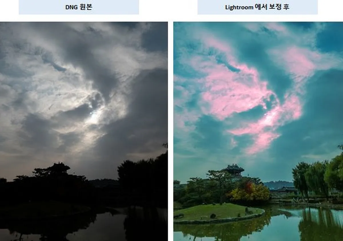 Samsung Galaxy S21 Ultra Expert RAW app